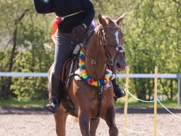 IMG_1755_web